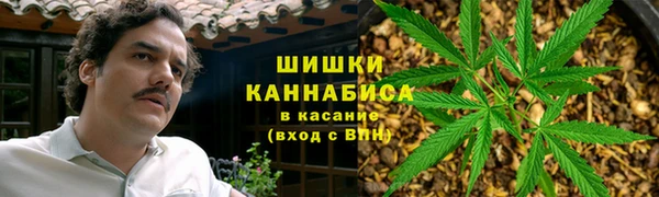 спиды Алзамай