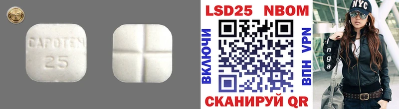 МЕГА маркетплейс продажа наркотиков Кингисепп Лсд 25 экстази кислота